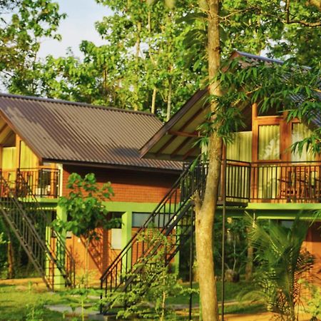 Sigiri Saat Cabana Sigiriya Dış mekan fotoğraf