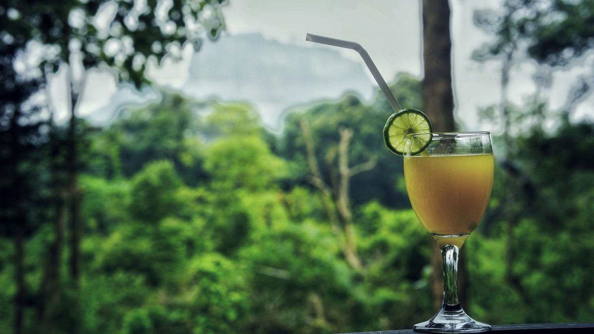 Sigiri Saat Cabana Sigiriya Dış mekan fotoğraf