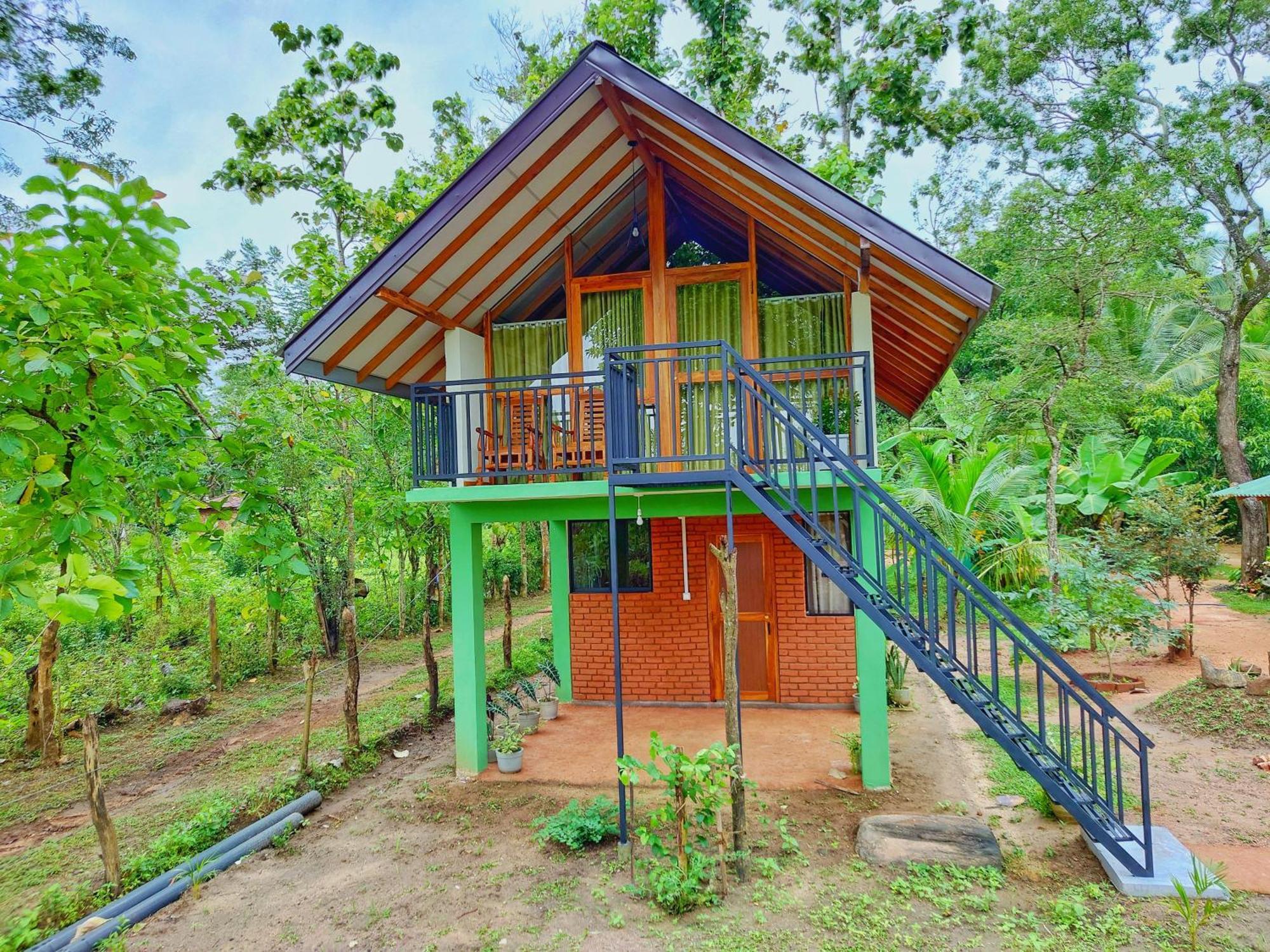 Sigiri Saat Cabana Sigiriya Dış mekan fotoğraf