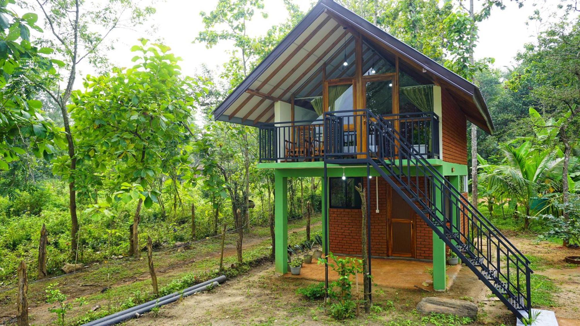 Sigiri Saat Cabana Sigiriya Dış mekan fotoğraf