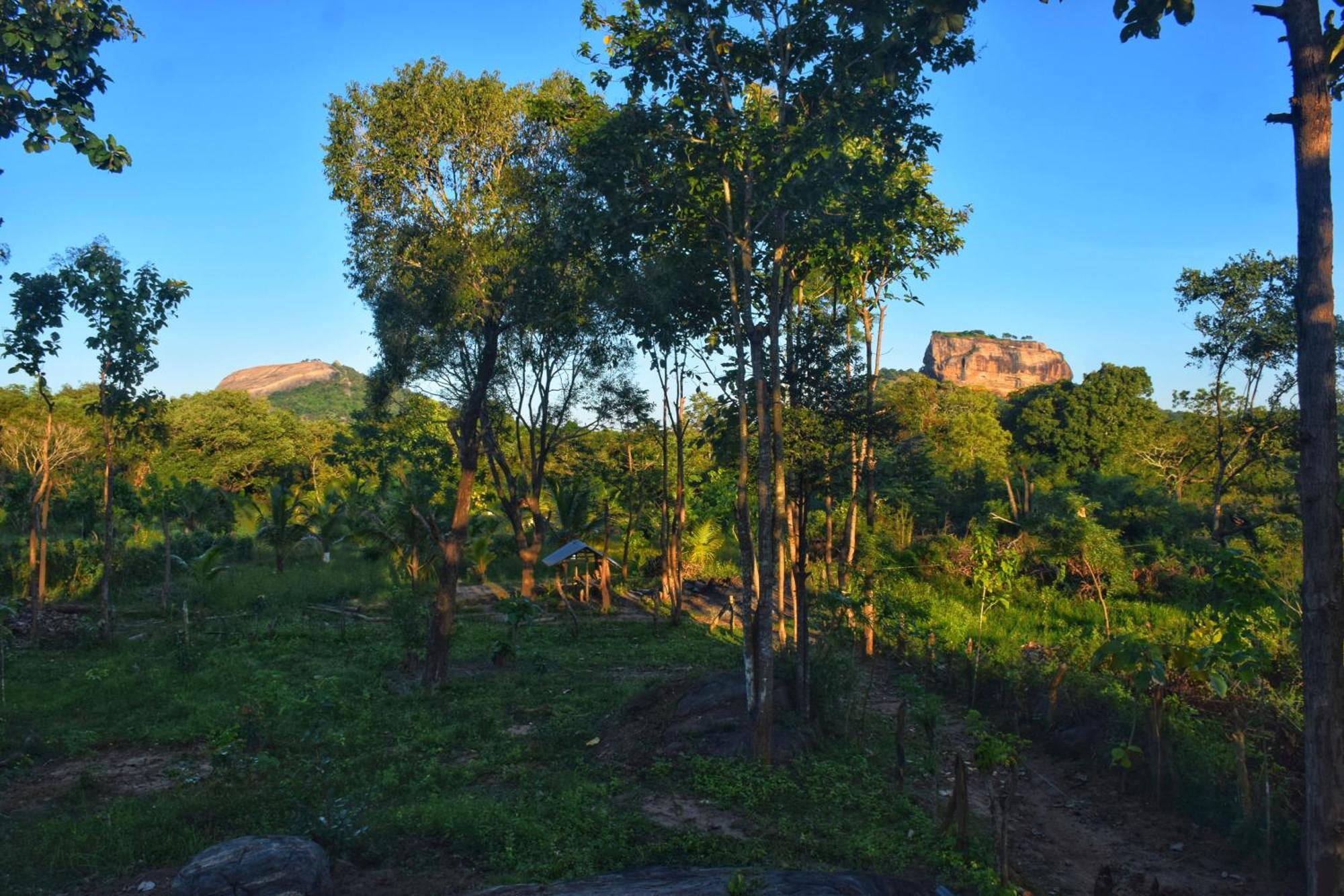 Sigiri Saat Cabana Sigiriya Dış mekan fotoğraf